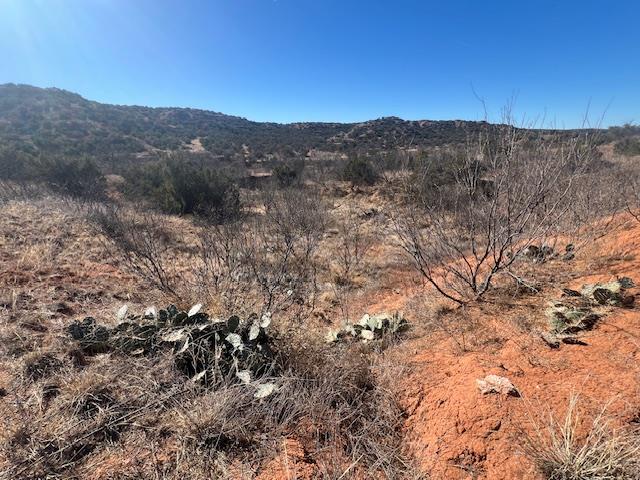 99999 Us 70 Hwy Property Photo 20