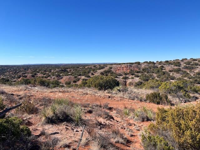 99999 Us 70 Hwy Property Photo 21