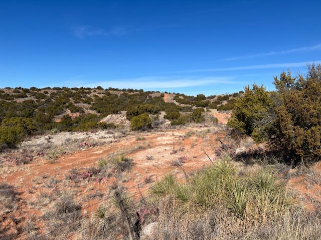 99999 Us 70 Hwy Property Photo 22