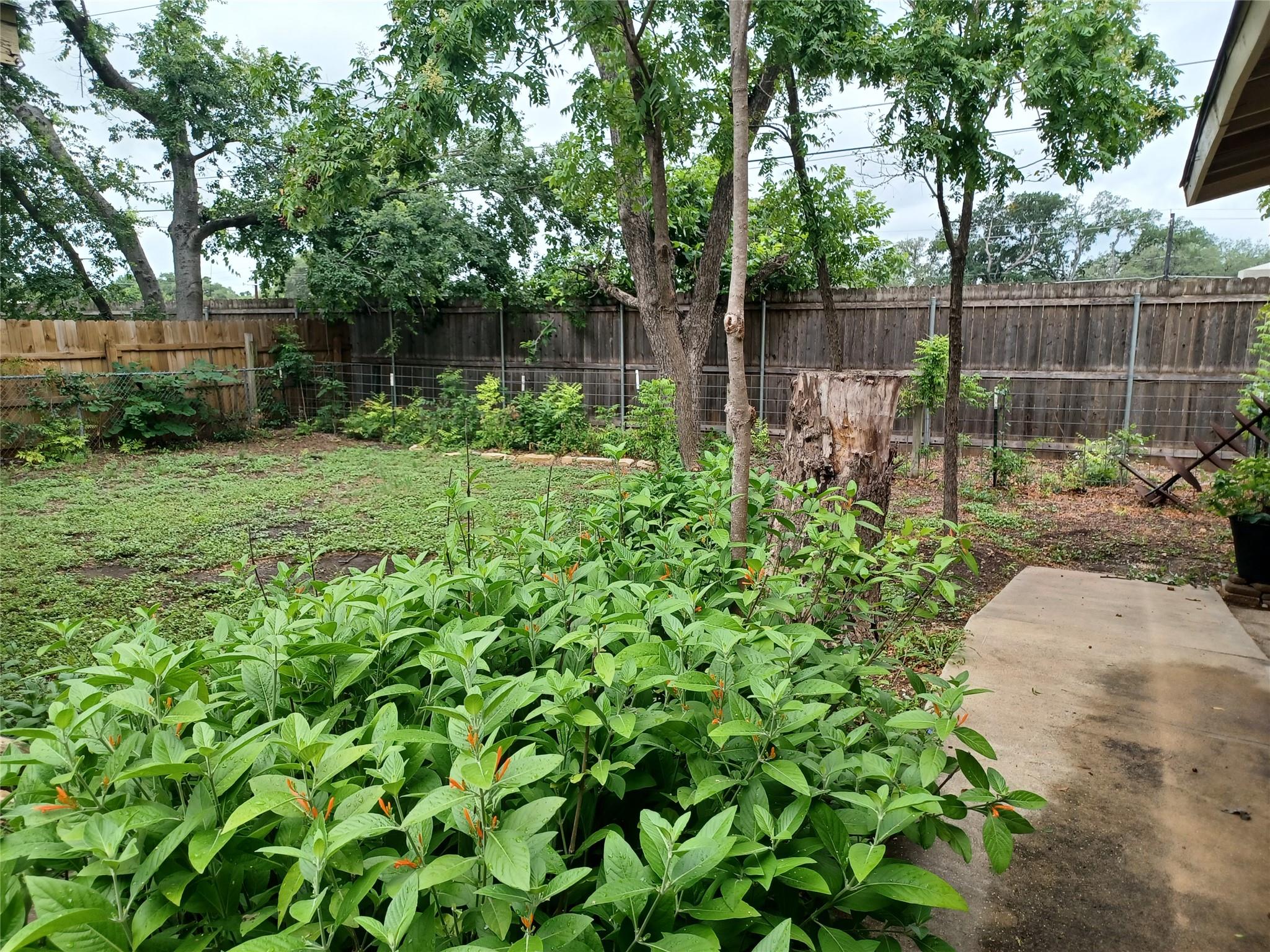 4906 Westfield Dr Property Photo 5