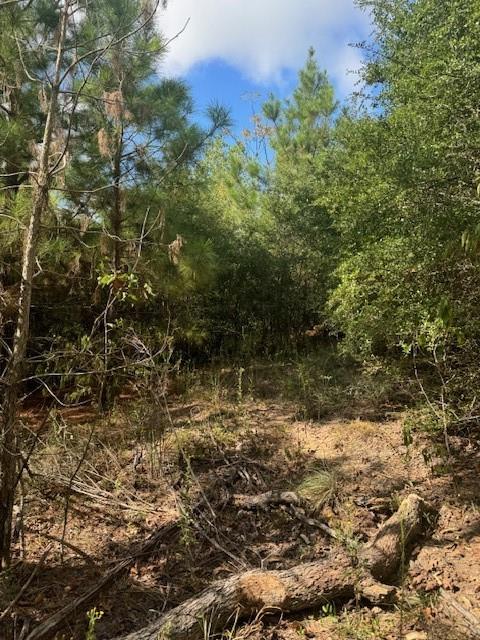 Lot 1339 Tahitian Dr Property Photo 1