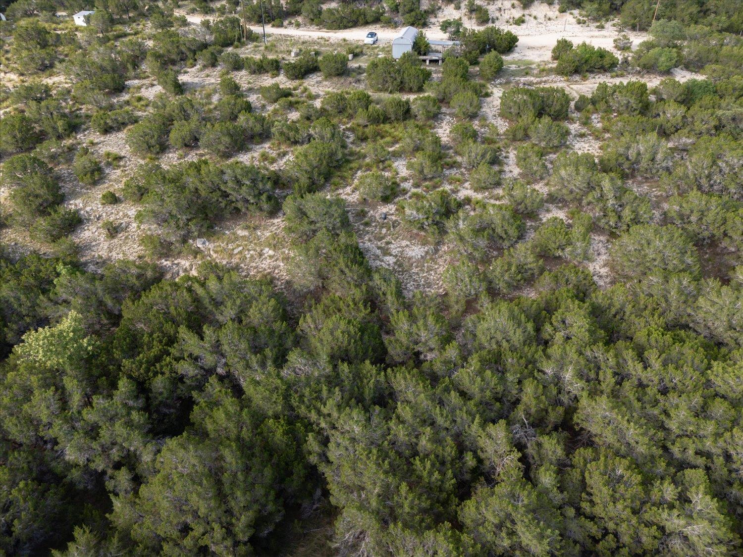 1227 Bonita Dr Property Photo 10