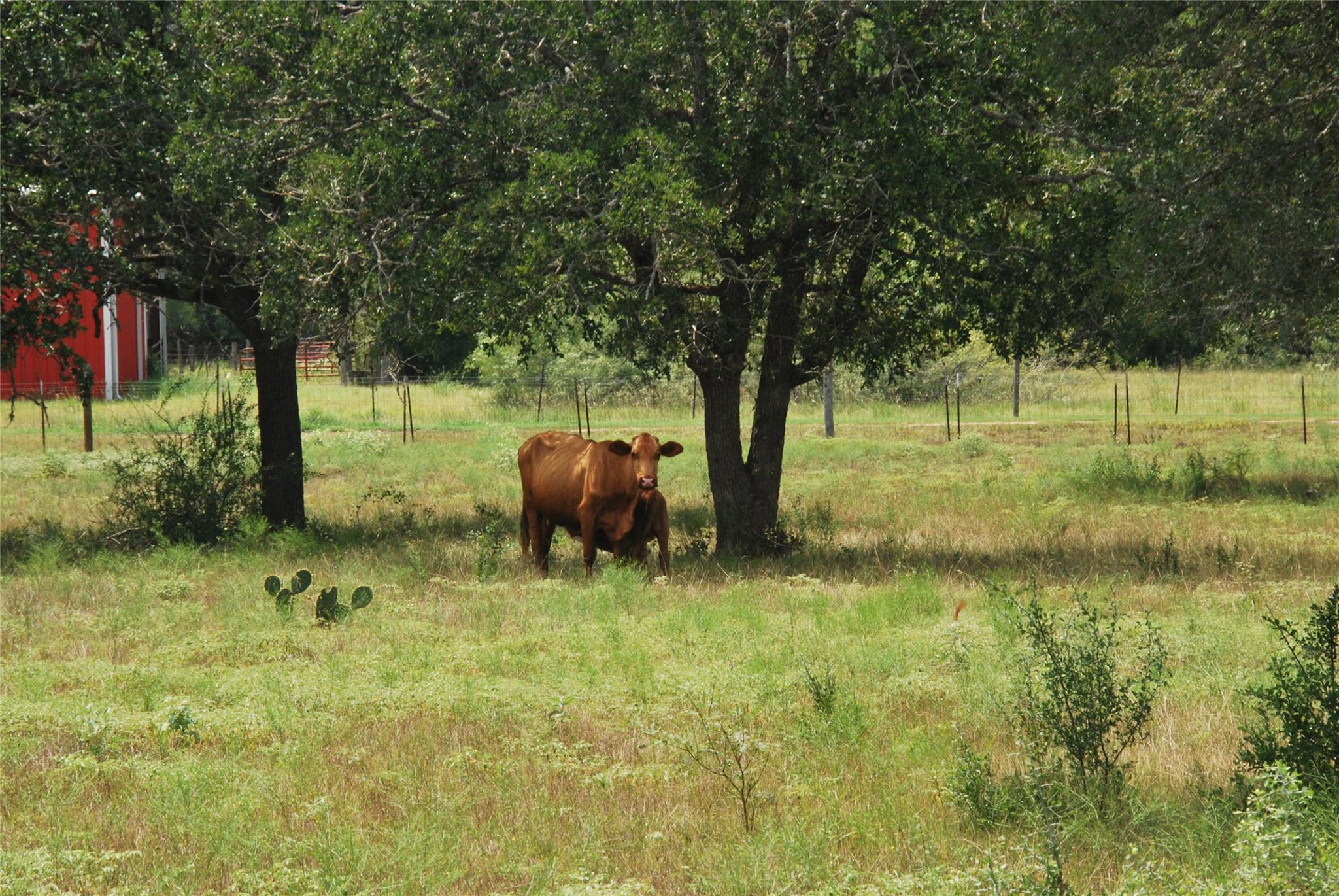 Tbd Lot 24 N State Highway 95 None Property Photo 7