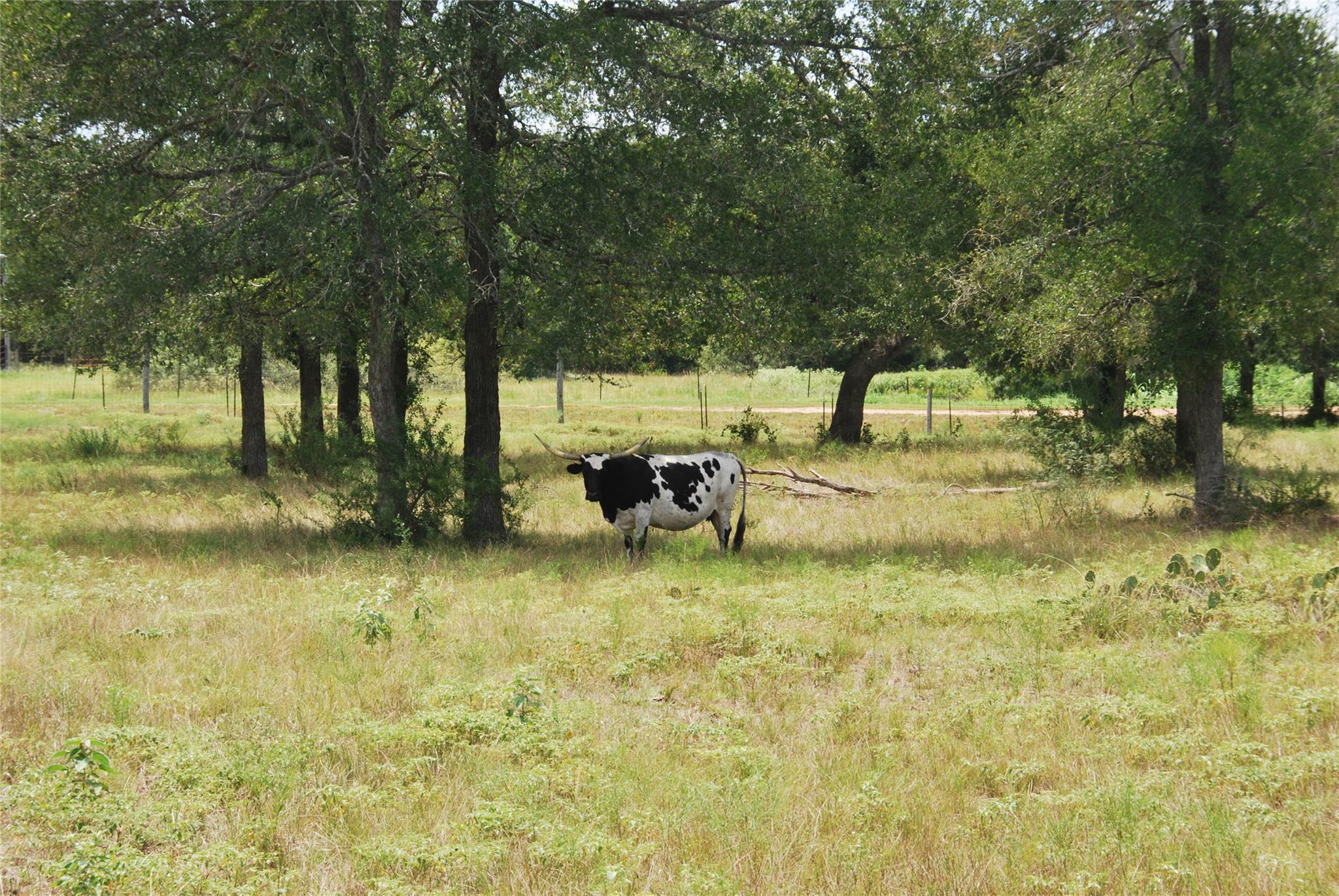 Tbd Lot 24 N State Highway 95 None Property Photo 8