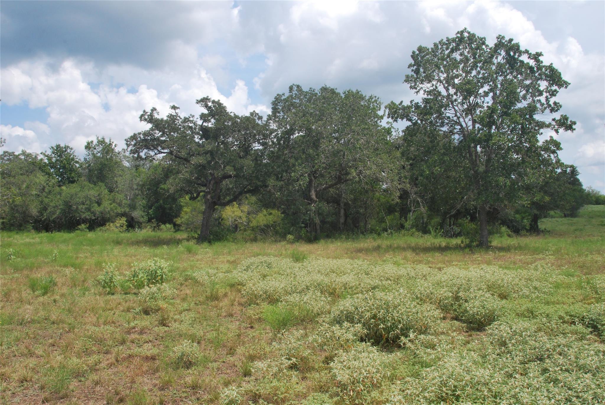 Tbd Lot 24 N State Highway 95 None Property Photo 10