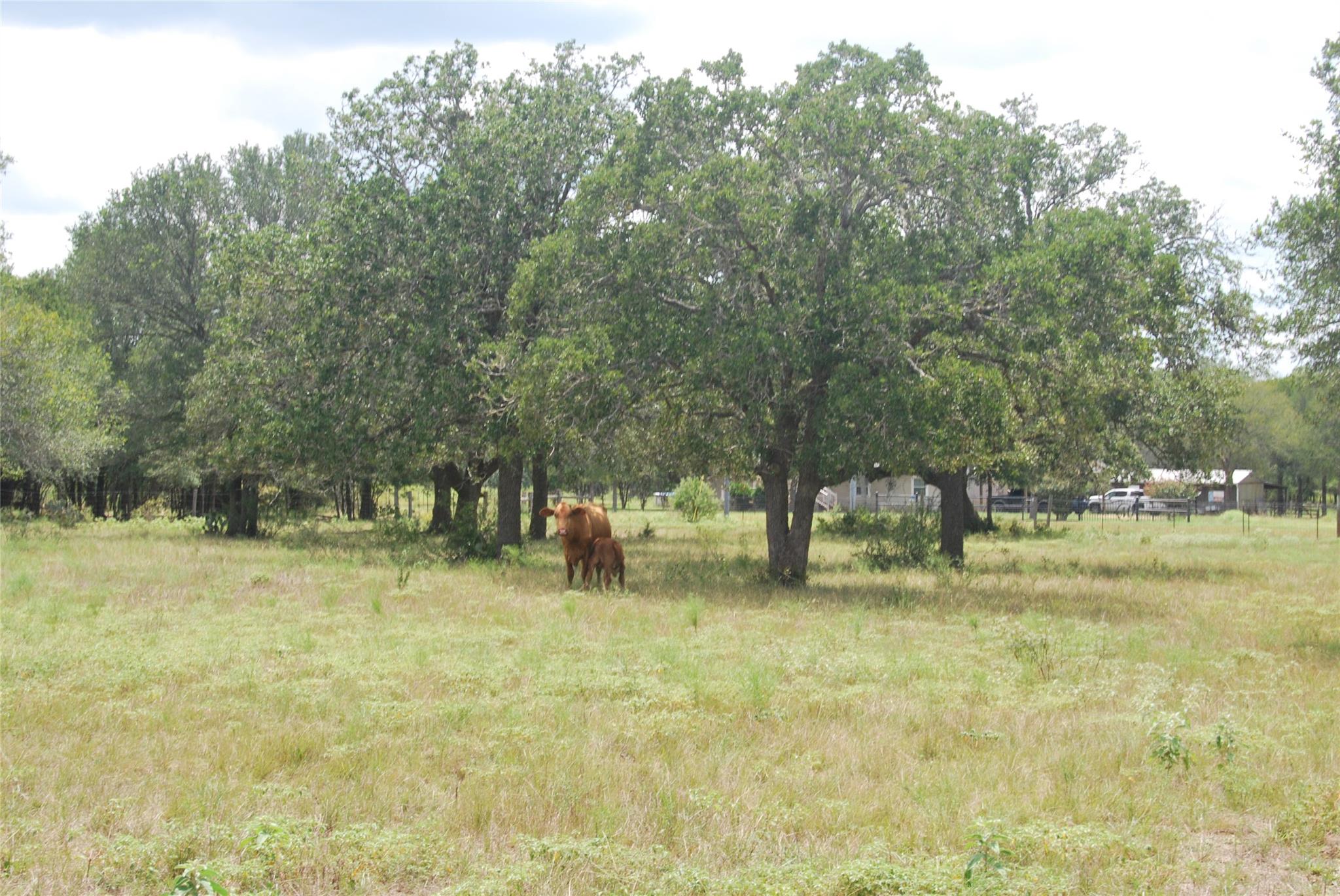 Tbd Lot 24 N State Highway 95 None Property Photo 13