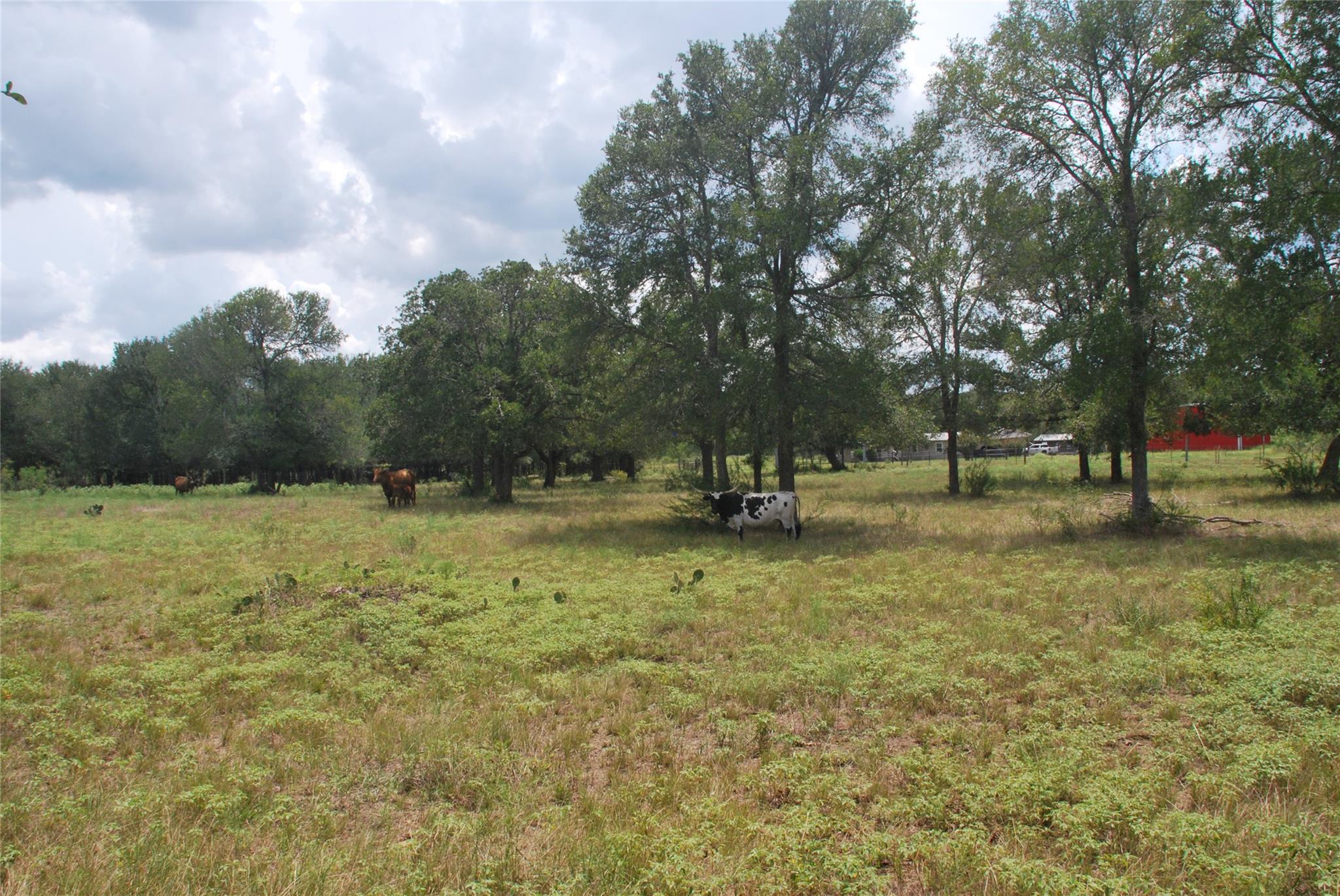 Tbd Lot 24 N State Highway 95 None Property Photo 14