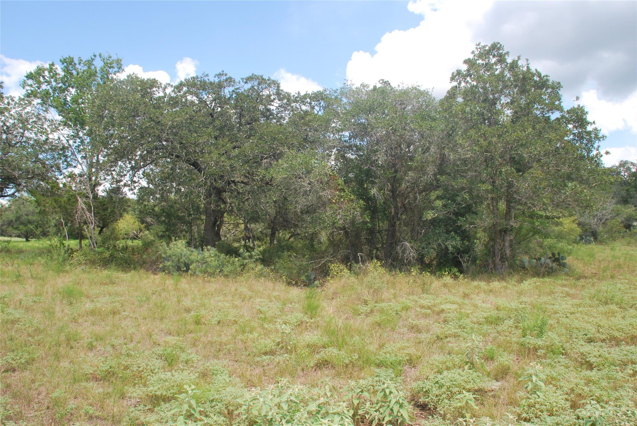 Tbd Lot 24 N State Highway 95 None Property Photo 17