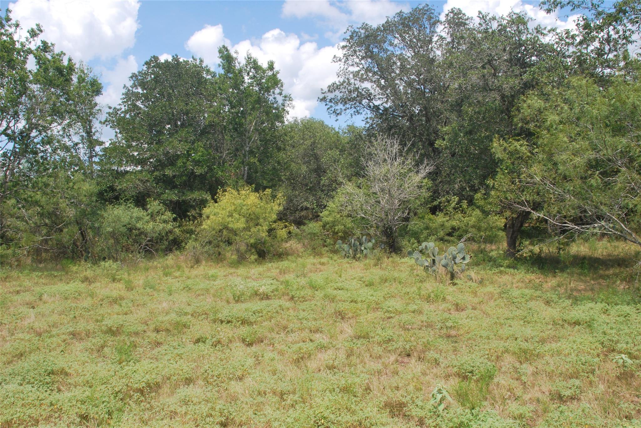 Tbd Lot 24 N State Highway 95 None Property Photo 19