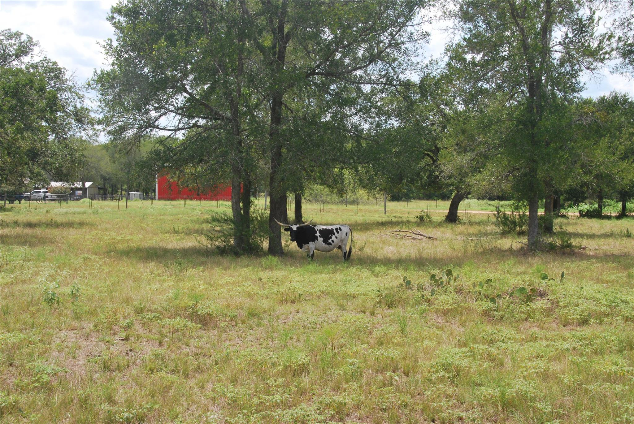 Tbd Lot 24 N State Highway 95 None Property Photo 21