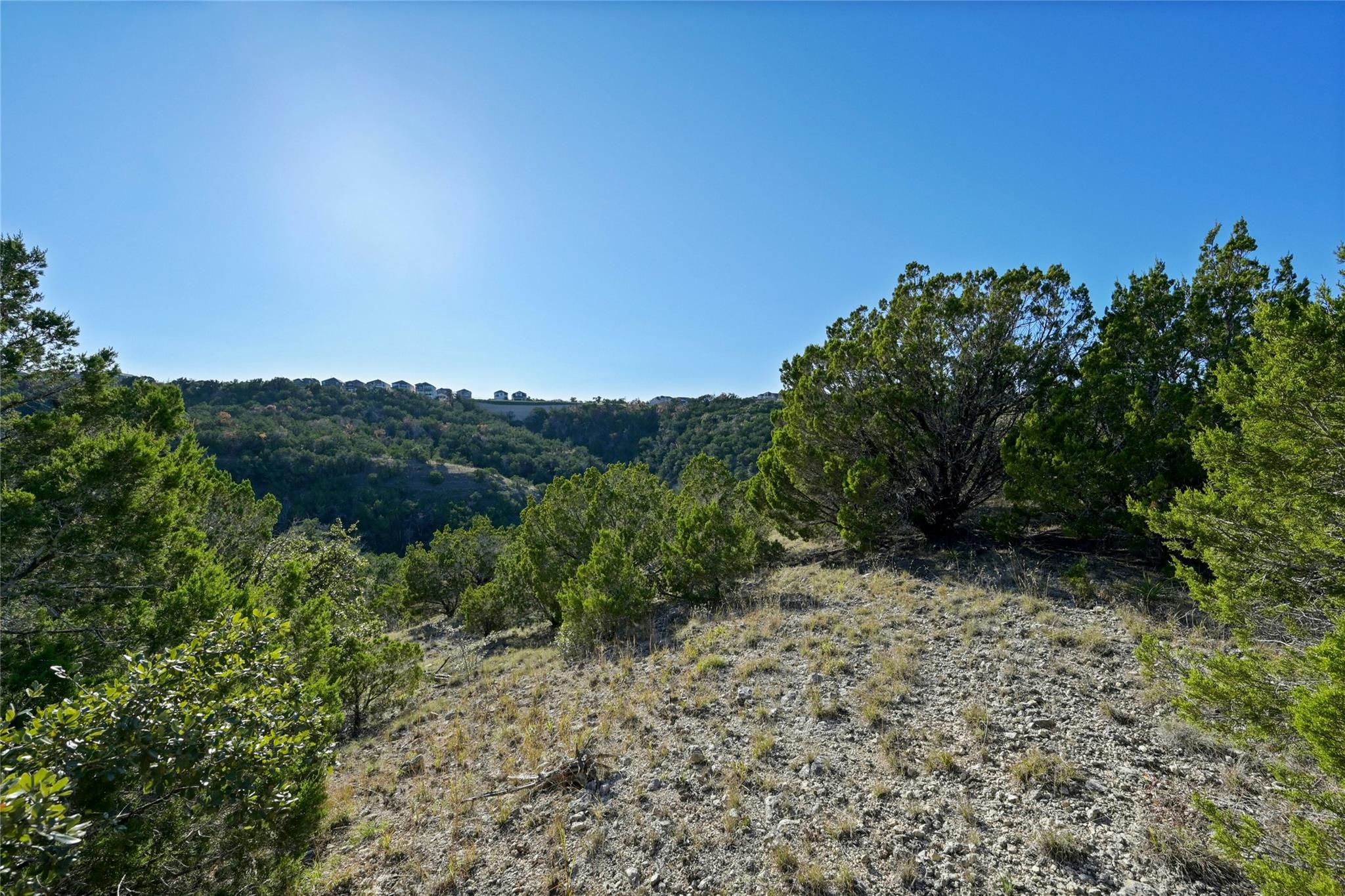 17409 Auburn Vista Cv Property Photo 3