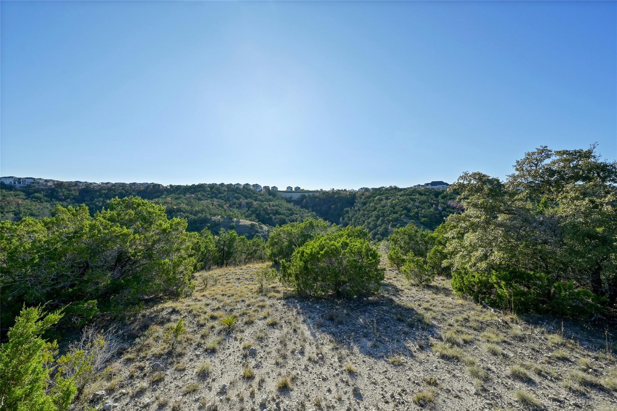 17409 Auburn Vista Cv Property Photo 4