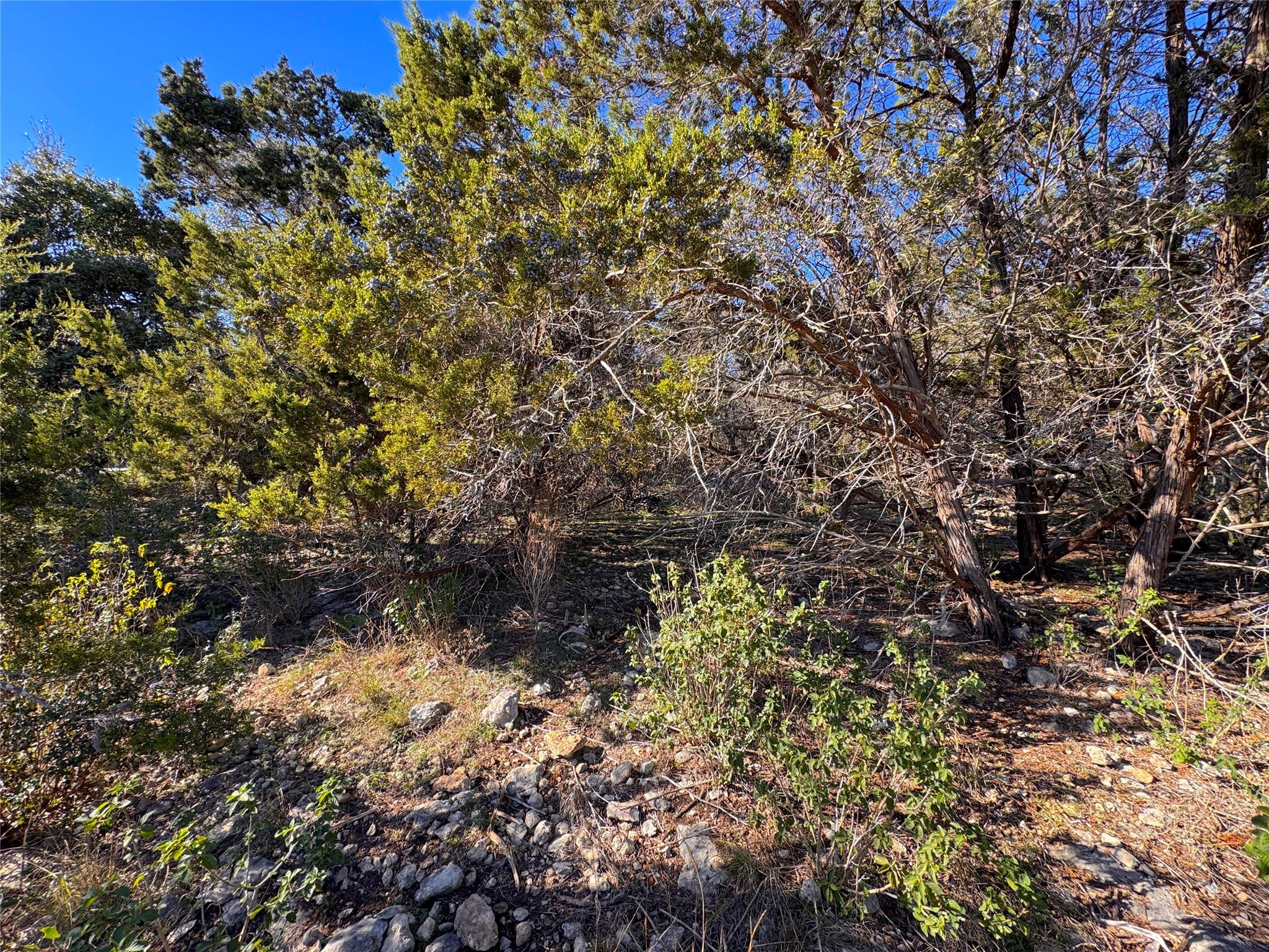 629 Hillclimb Property Photo 11