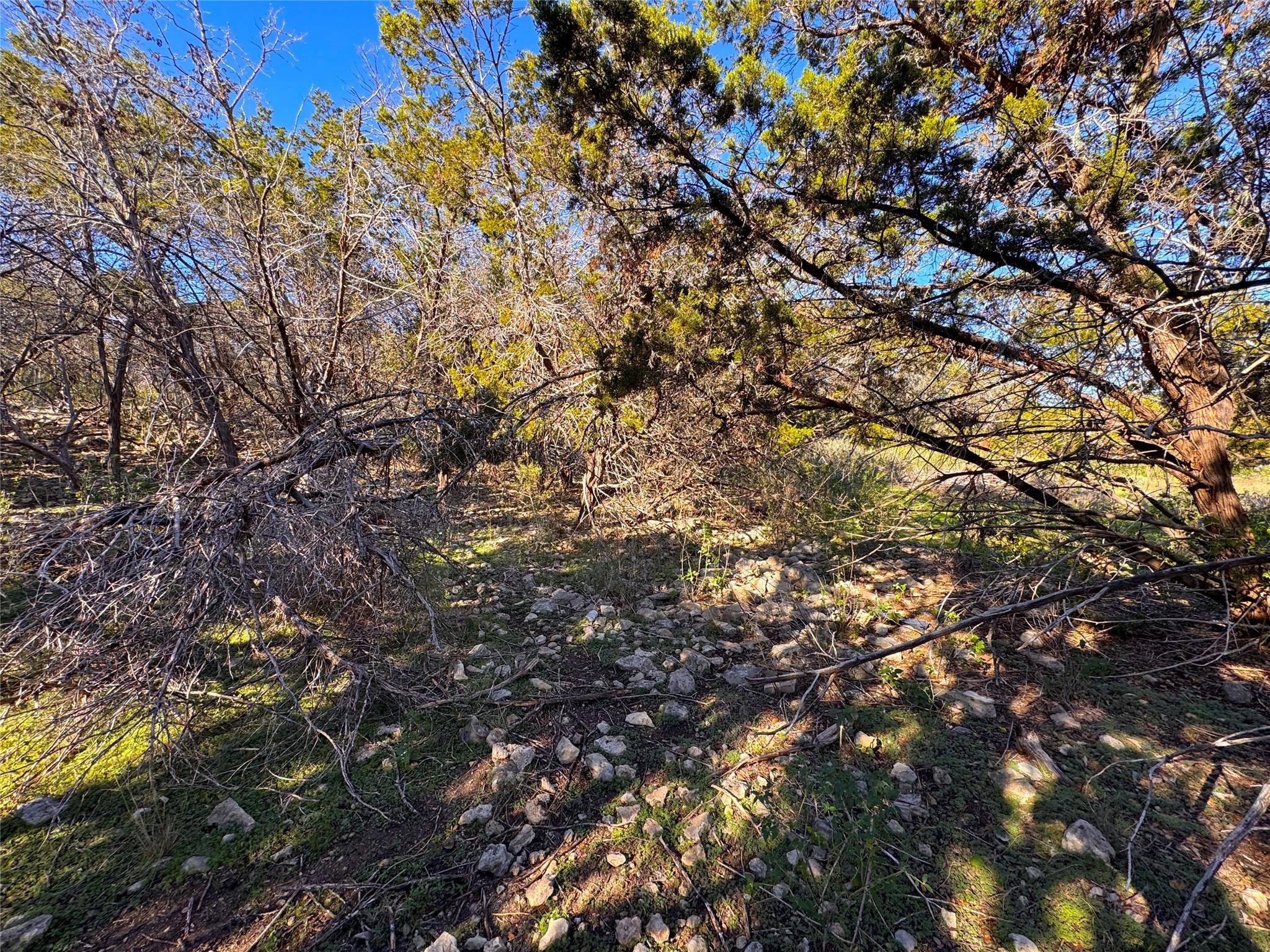 629 Hillclimb Property Photo 12