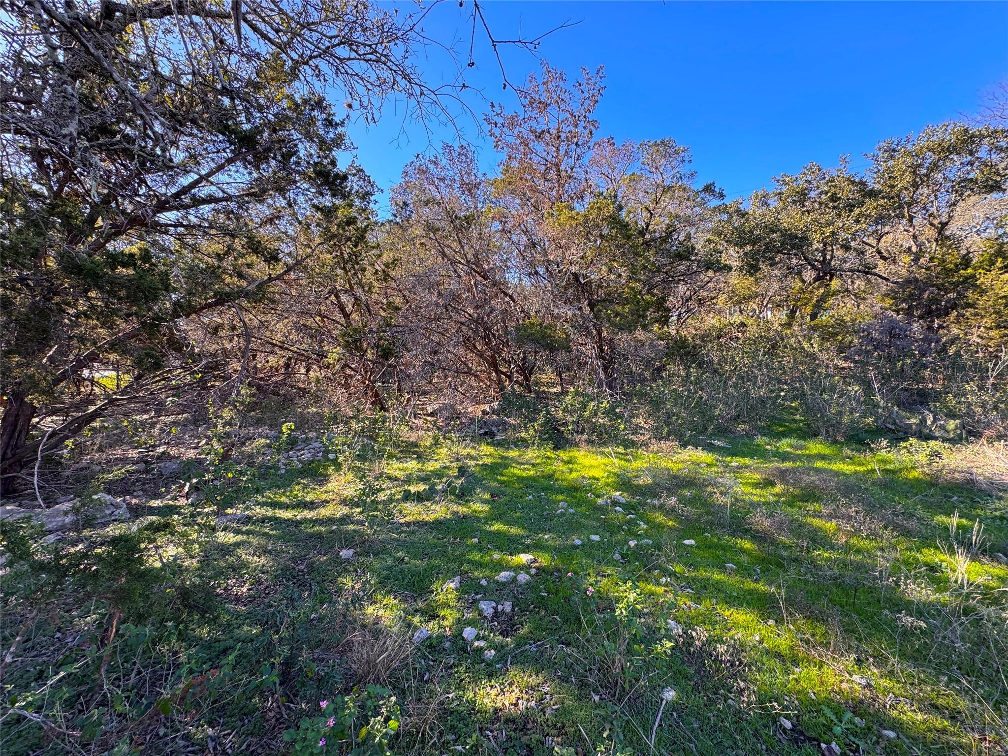 629 Hillclimb Property Photo 13