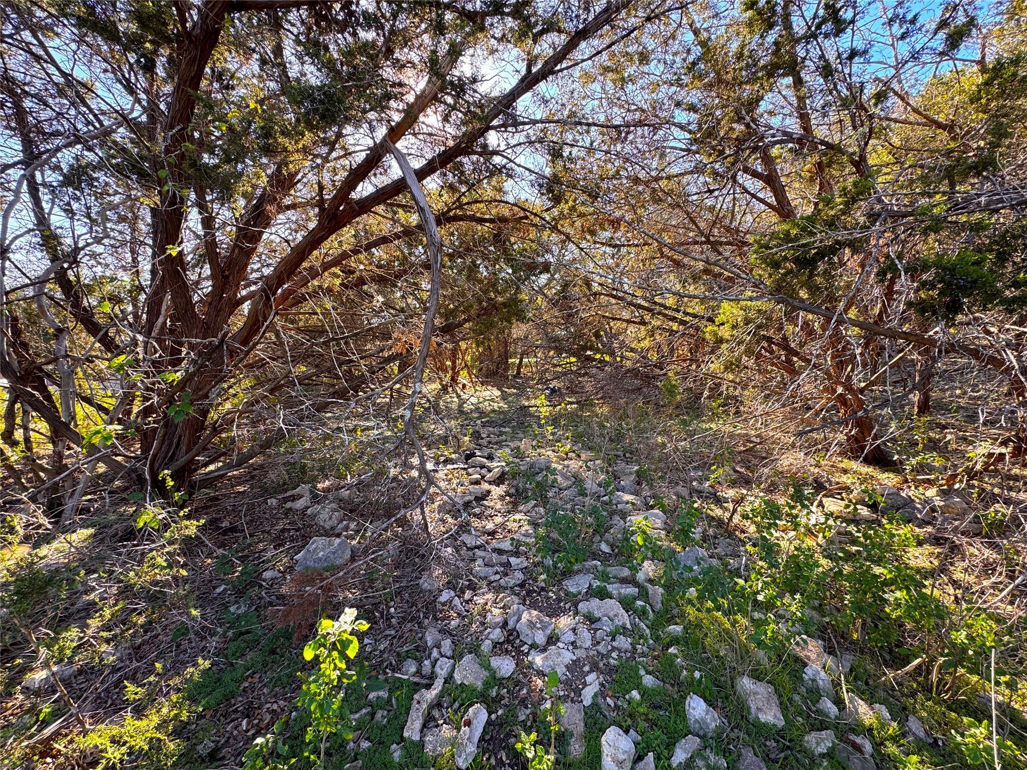 629 Hillclimb Property Photo 14