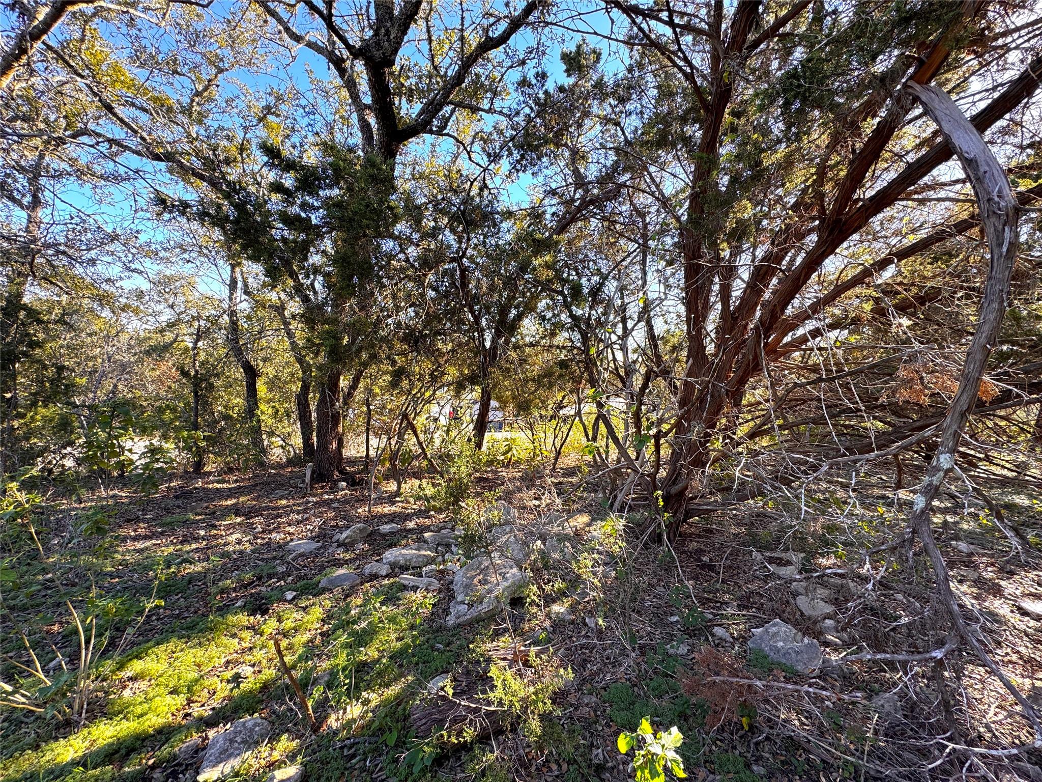 629 Hillclimb Property Photo 15