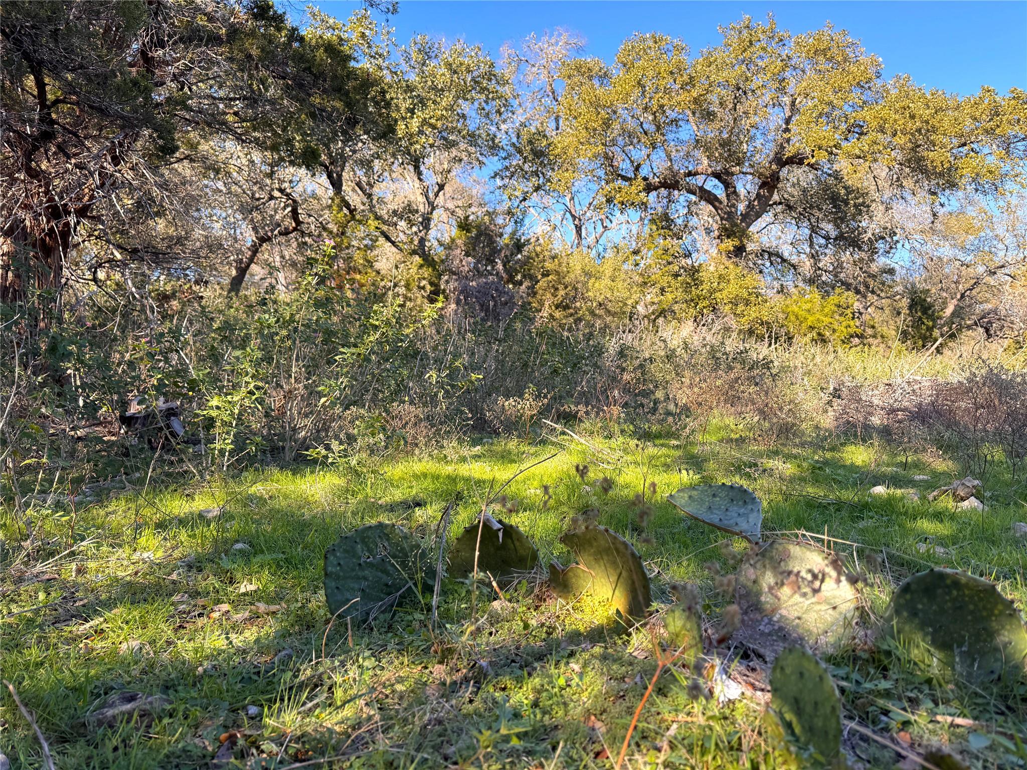 629 Hillclimb Property Photo 16