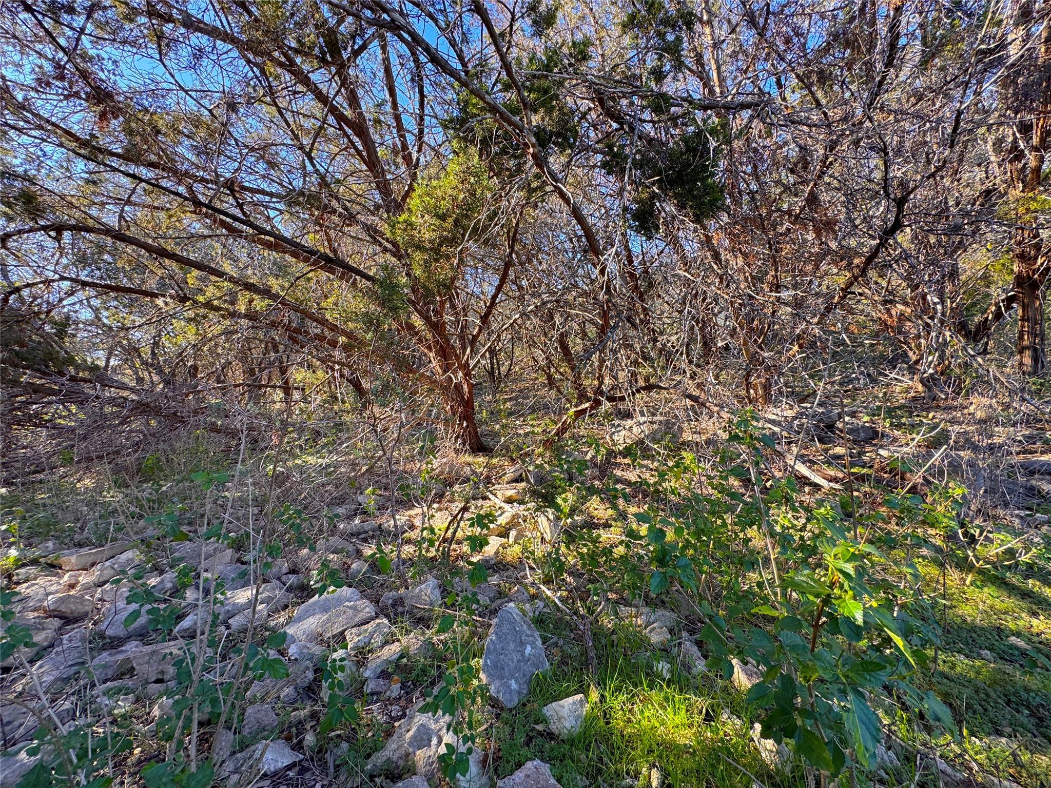 629 Hillclimb Property Photo 17