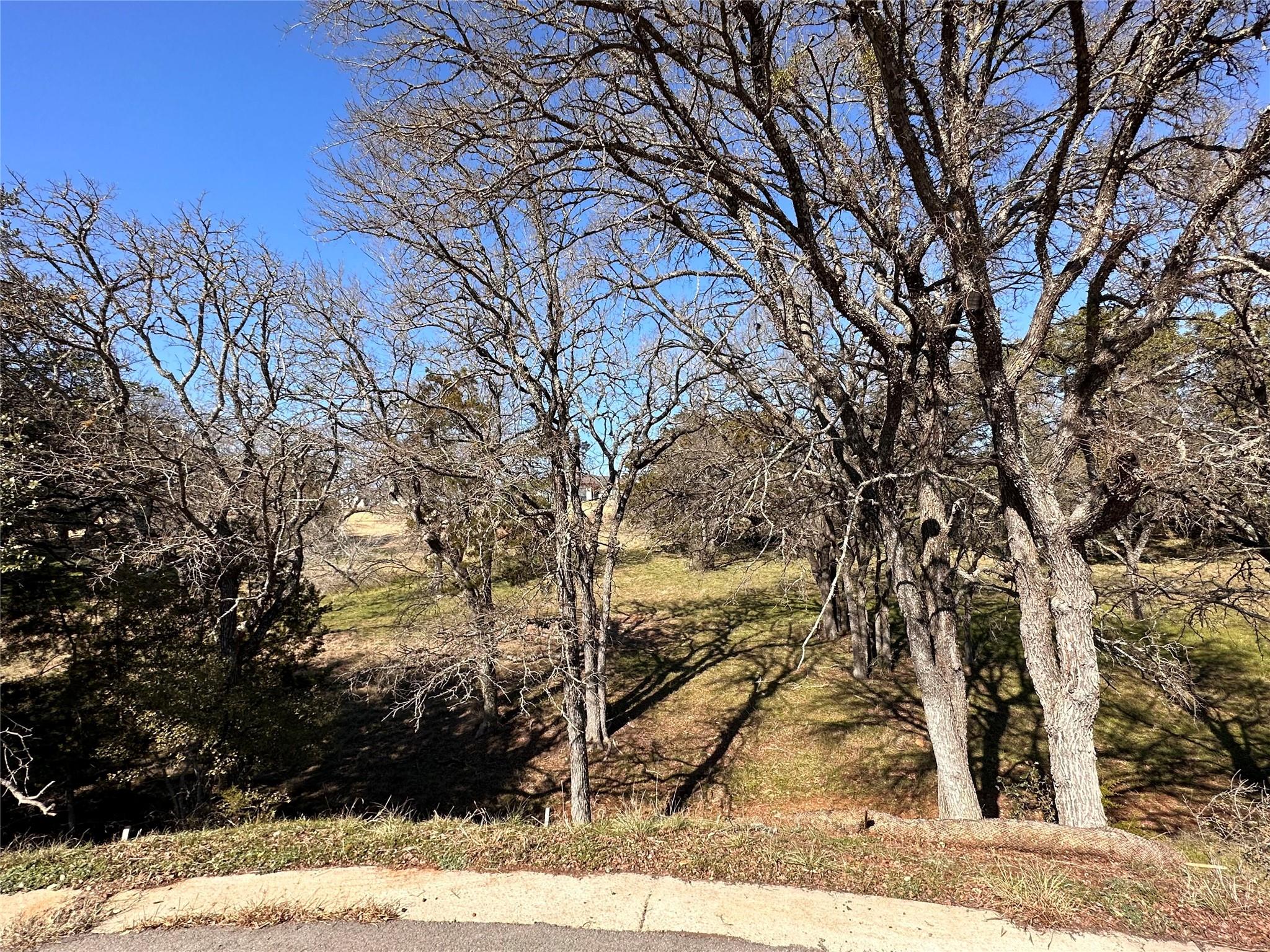 W28055 Palomino None Property Photo 3