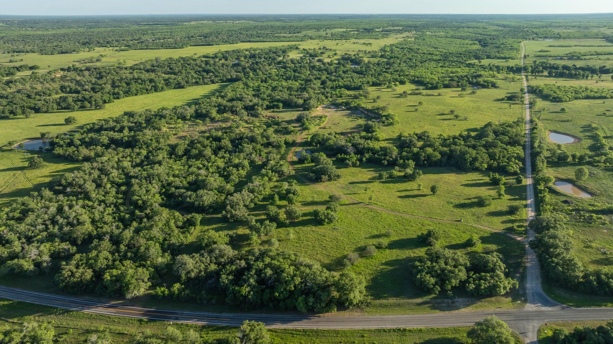 10867 Fm 466 Property Photo 3