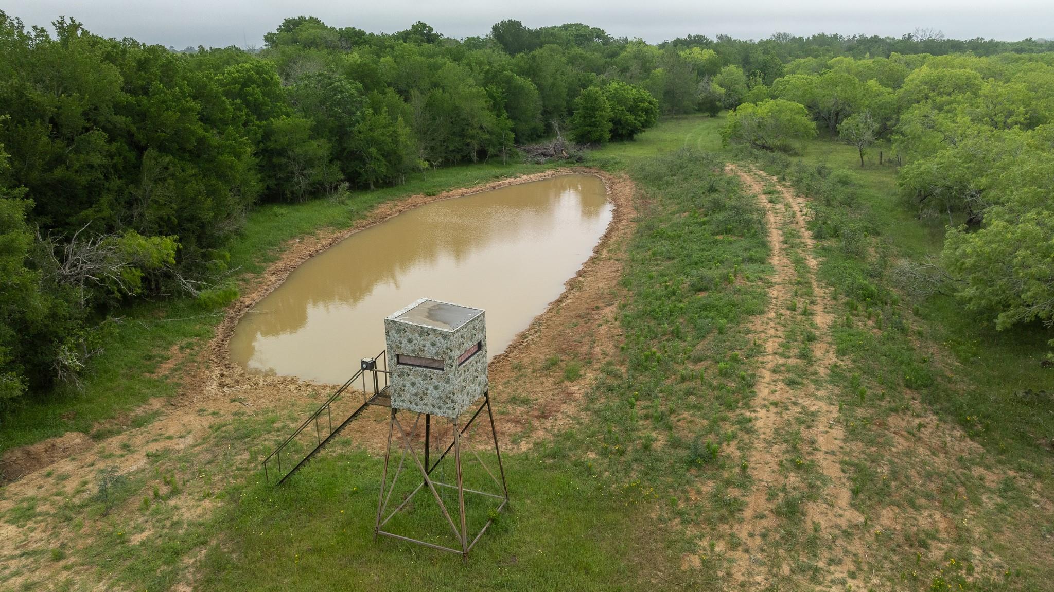 10867 Fm 466 Property Photo 7