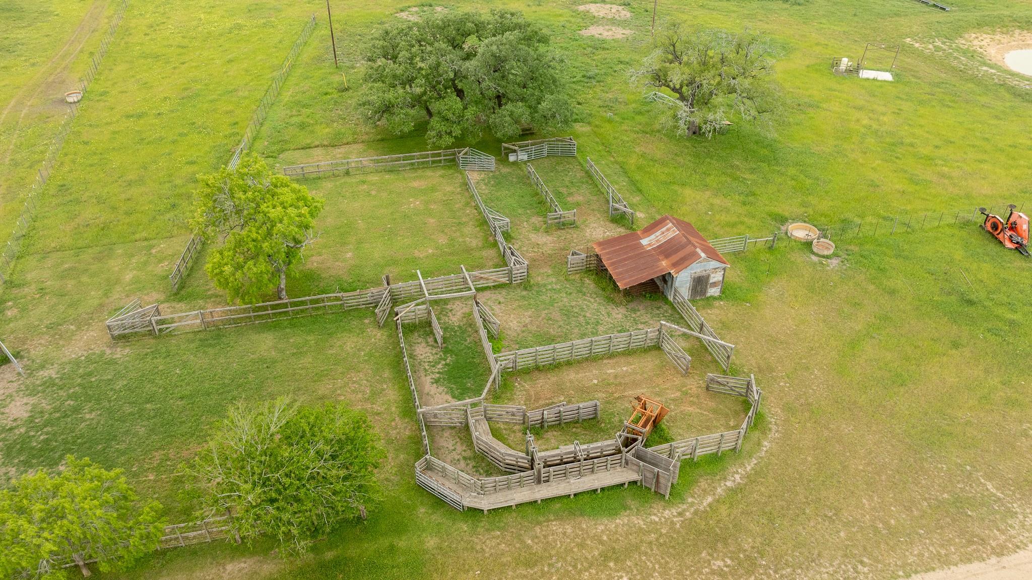 10867 Fm 466 Property Photo 9
