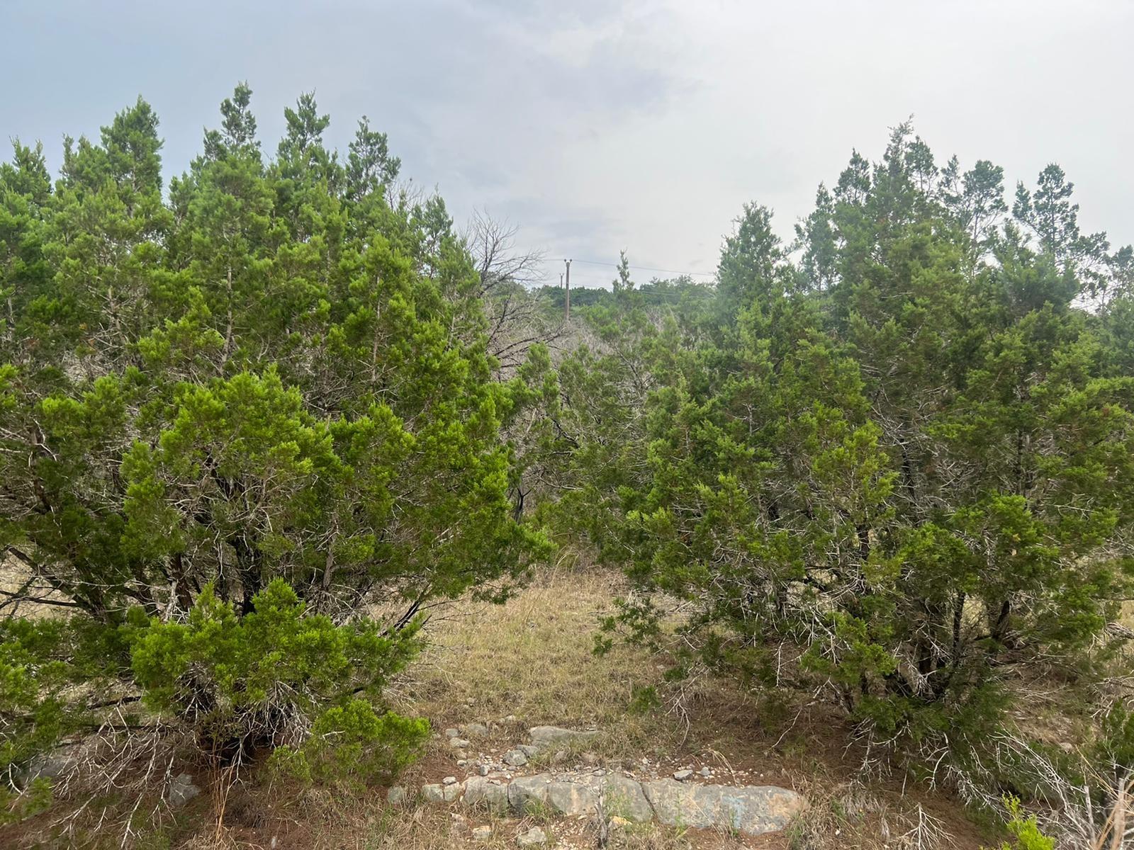 651 Rockmoor Dr Property Photo 4