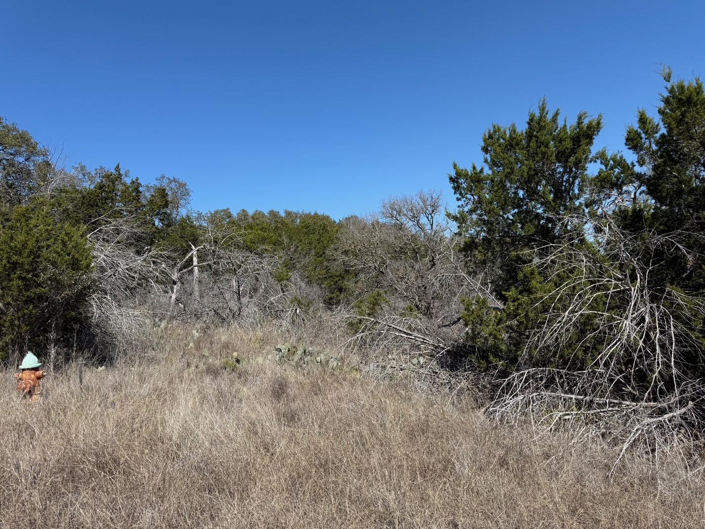 Lot K8130 Ridgeview Property Photo 2