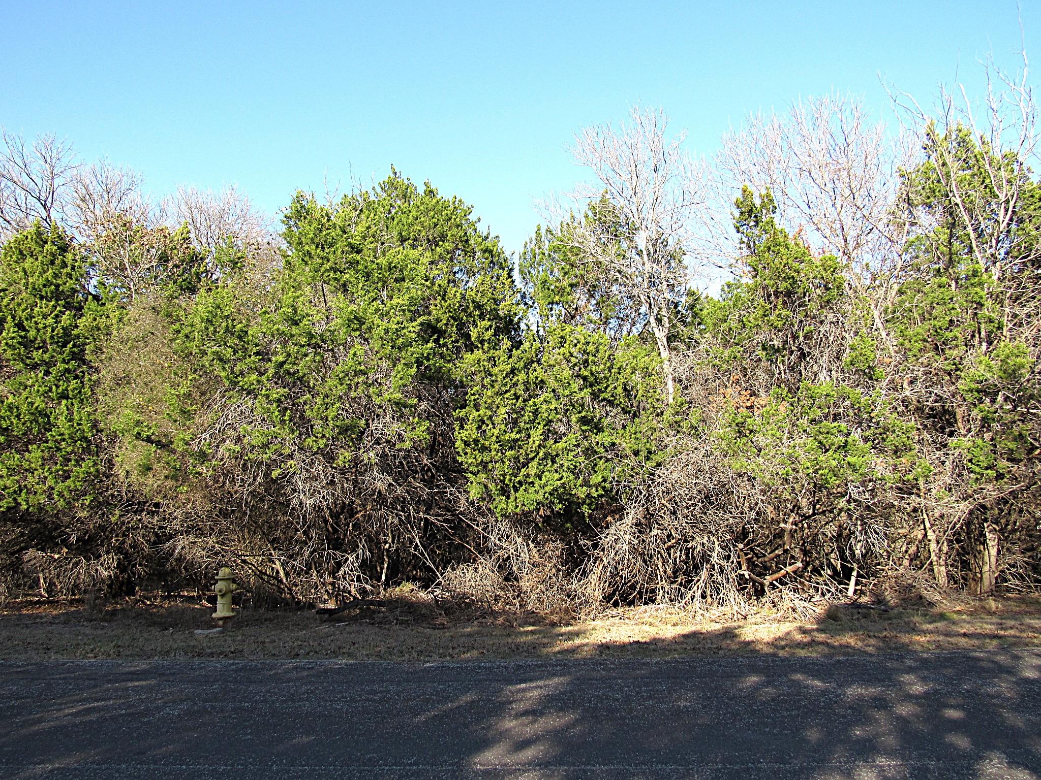 10784 Highview Dr Property Photo