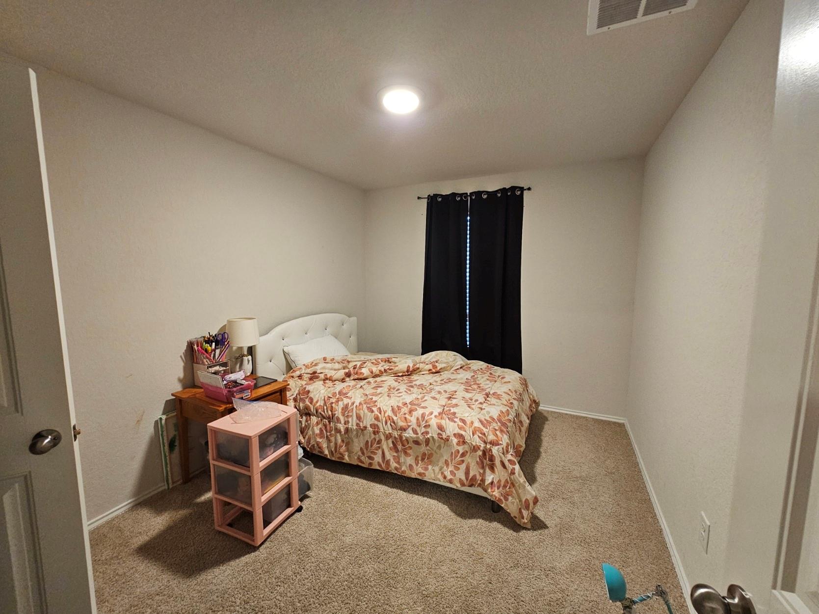 916 Armadillo Dr Property Photo 16