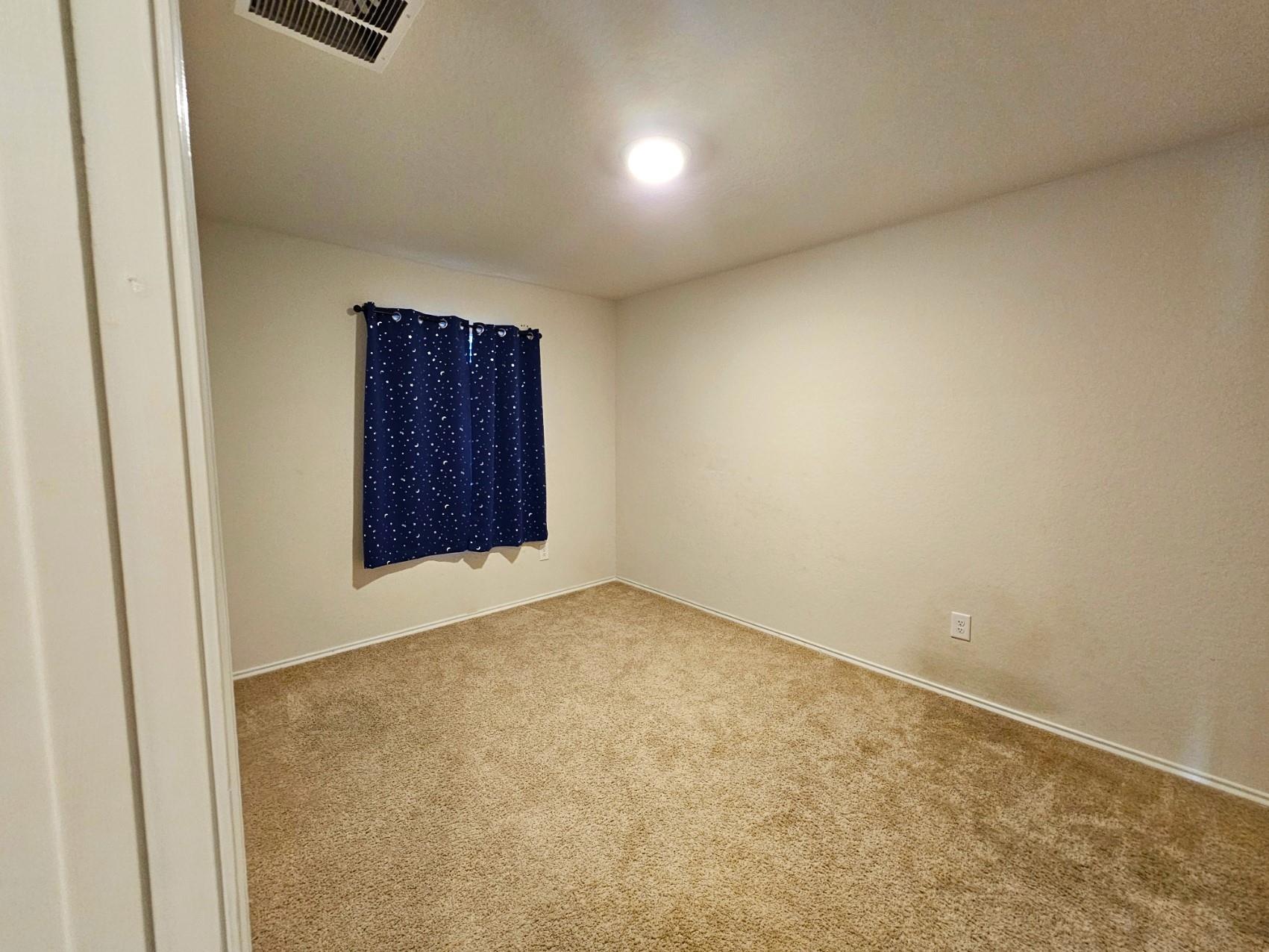 916 Armadillo Dr Property Photo 20