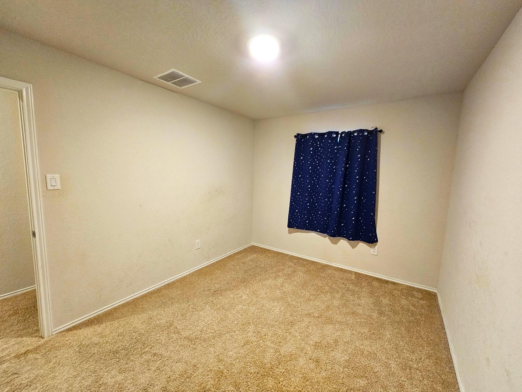 916 Armadillo Dr Property Photo 21