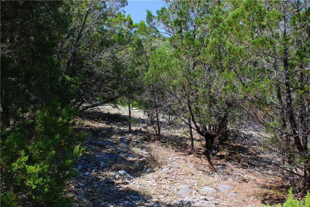3731 Summit Hurst Dr Property Photo 7