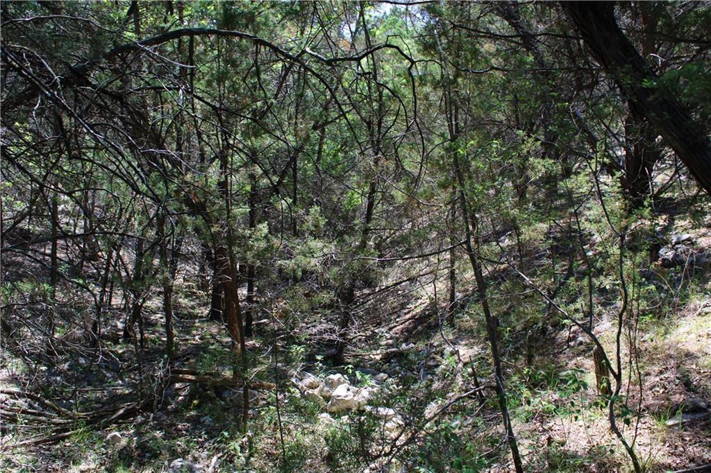 3731 Summit Hurst Dr Property Photo 9