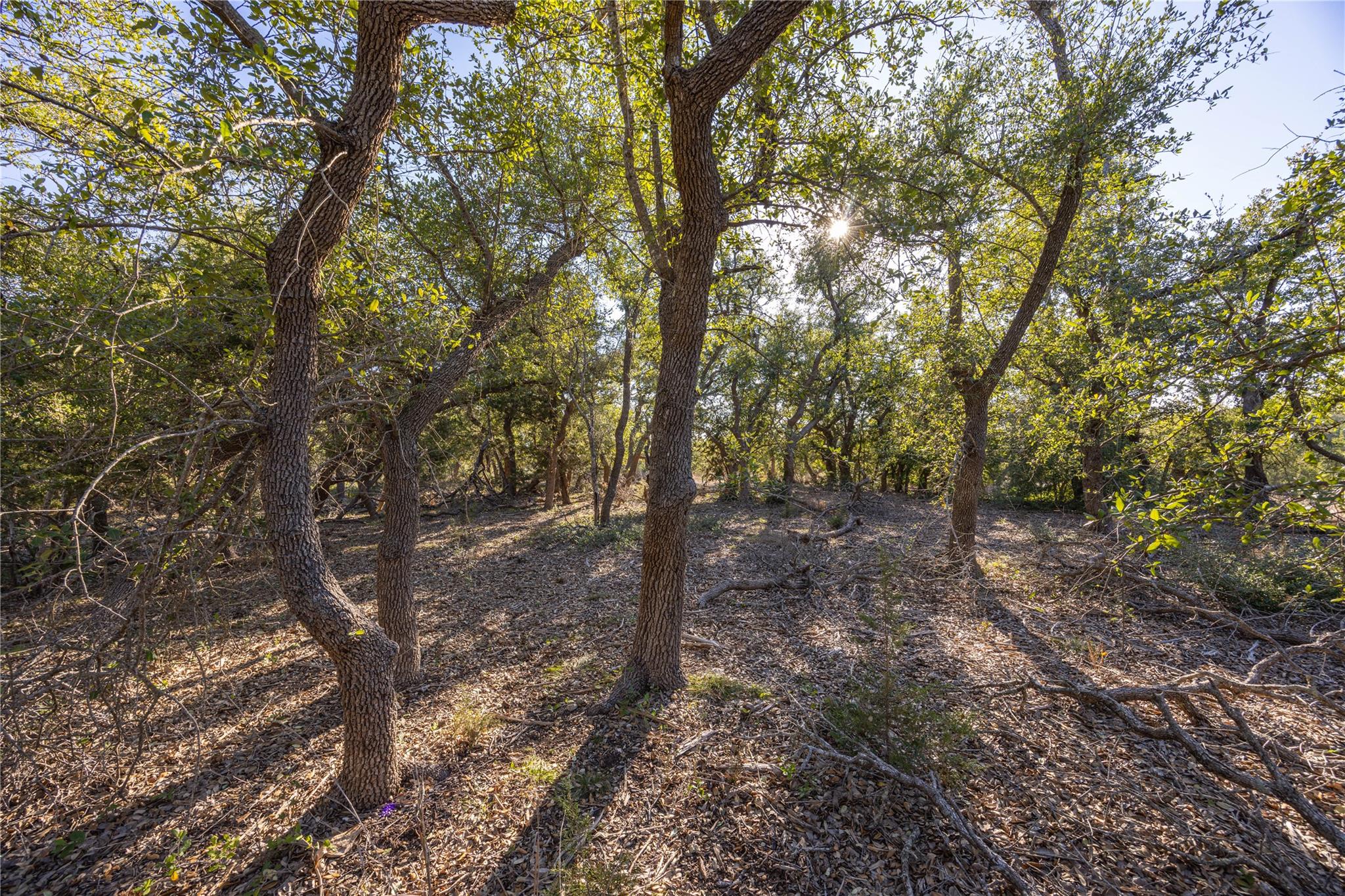 130 Panorama Dr Property Photo 1
