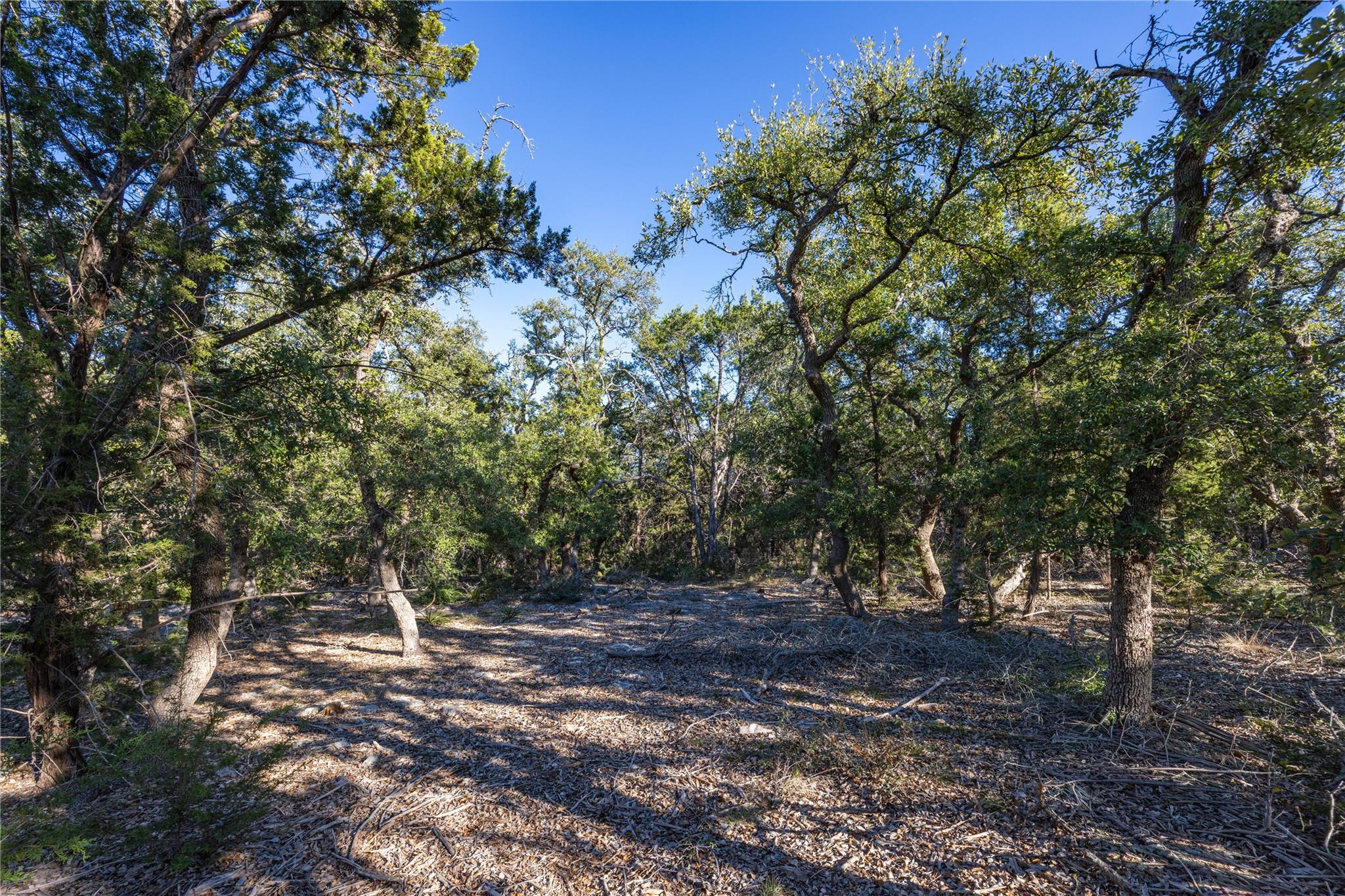 130 Panorama Dr Property Photo 13