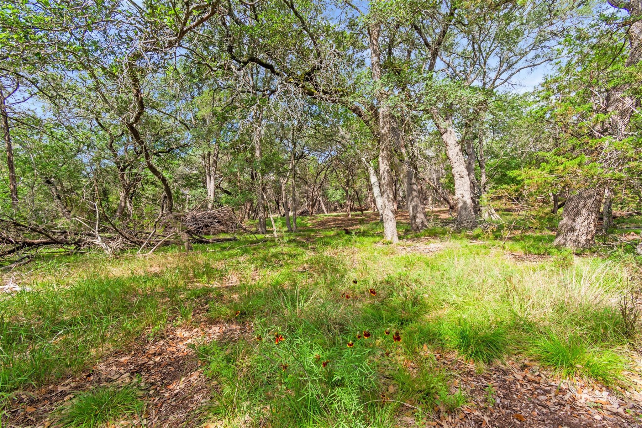 1400 Valley View Rd Property Photo 30