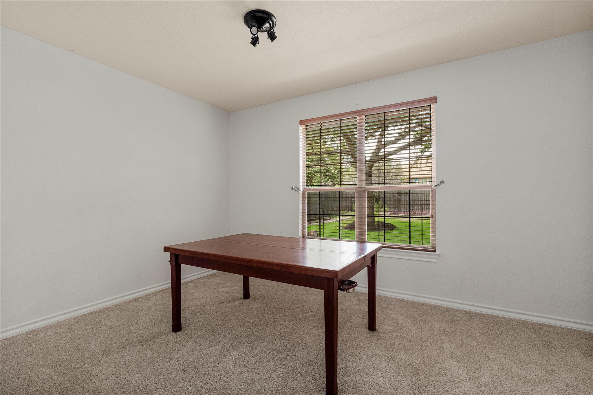 212 Camperdown Elm Dr Property Photo 14