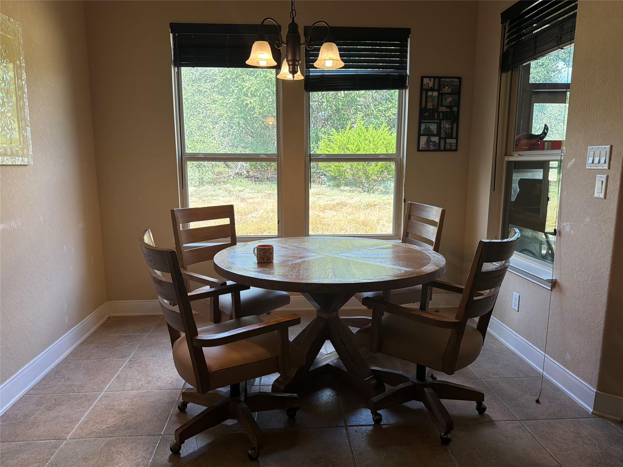 323 Mill Run Property Photo 4