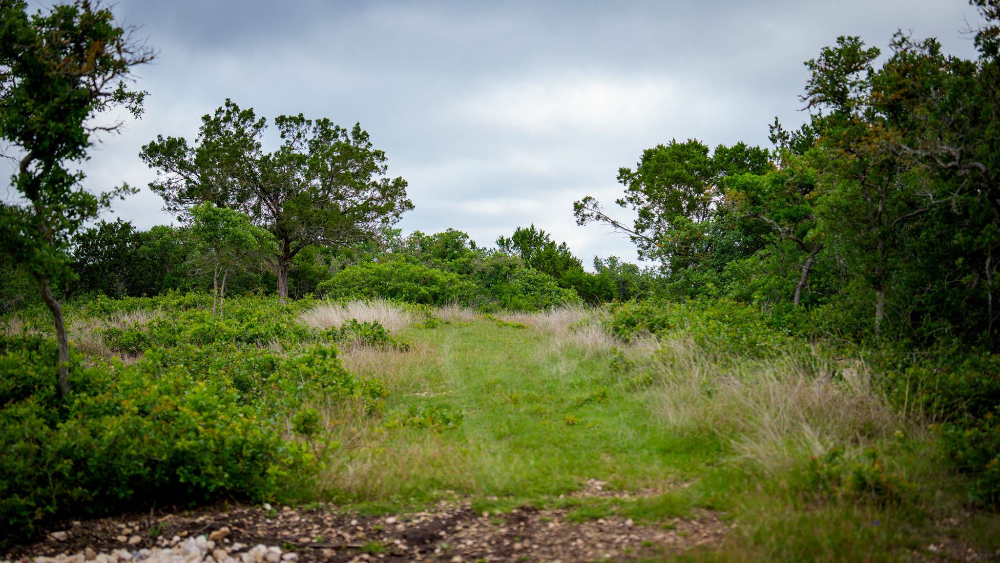 Tbd El Rincon Rd Property Photo 10