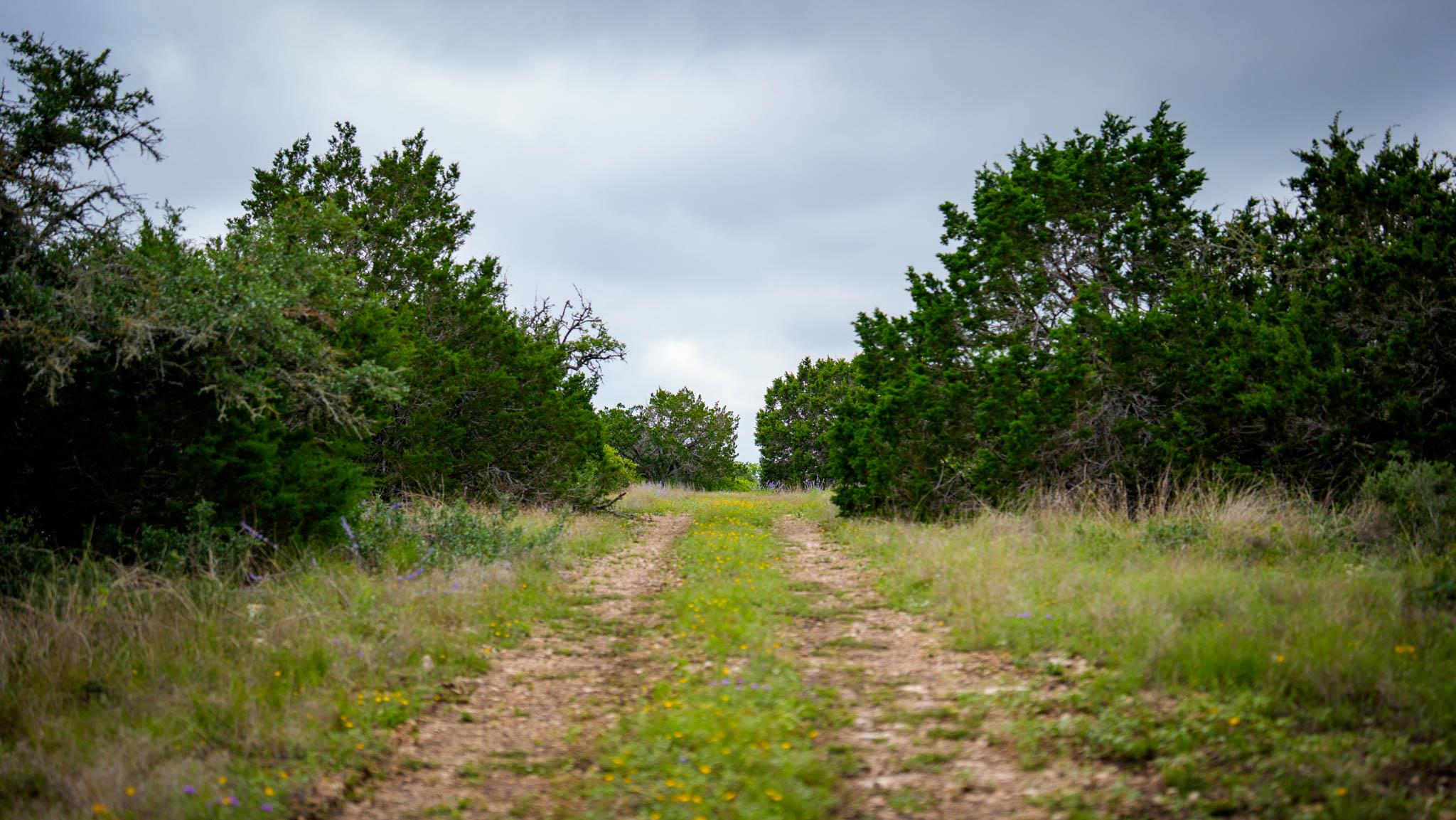 Tbd El Rincon Rd Property Photo 11