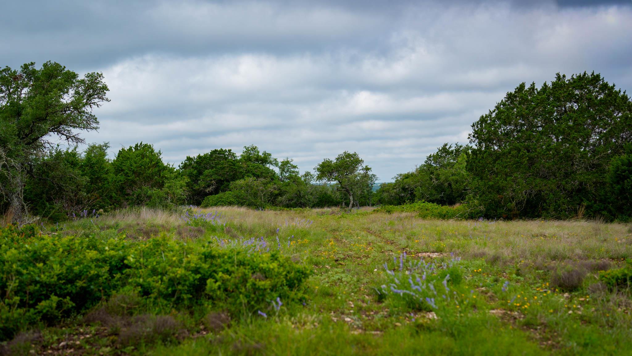 Tbd El Rincon Rd Property Photo 14