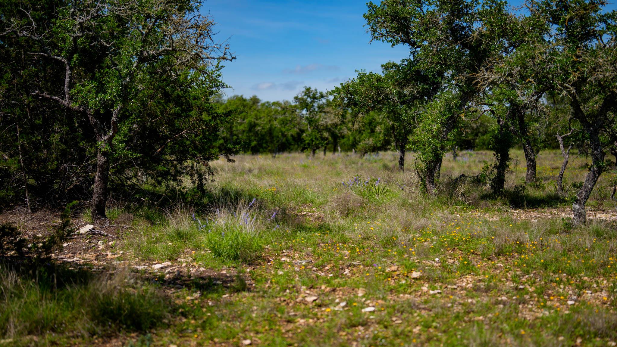 Tbd El Rincon Rd Property Photo 19