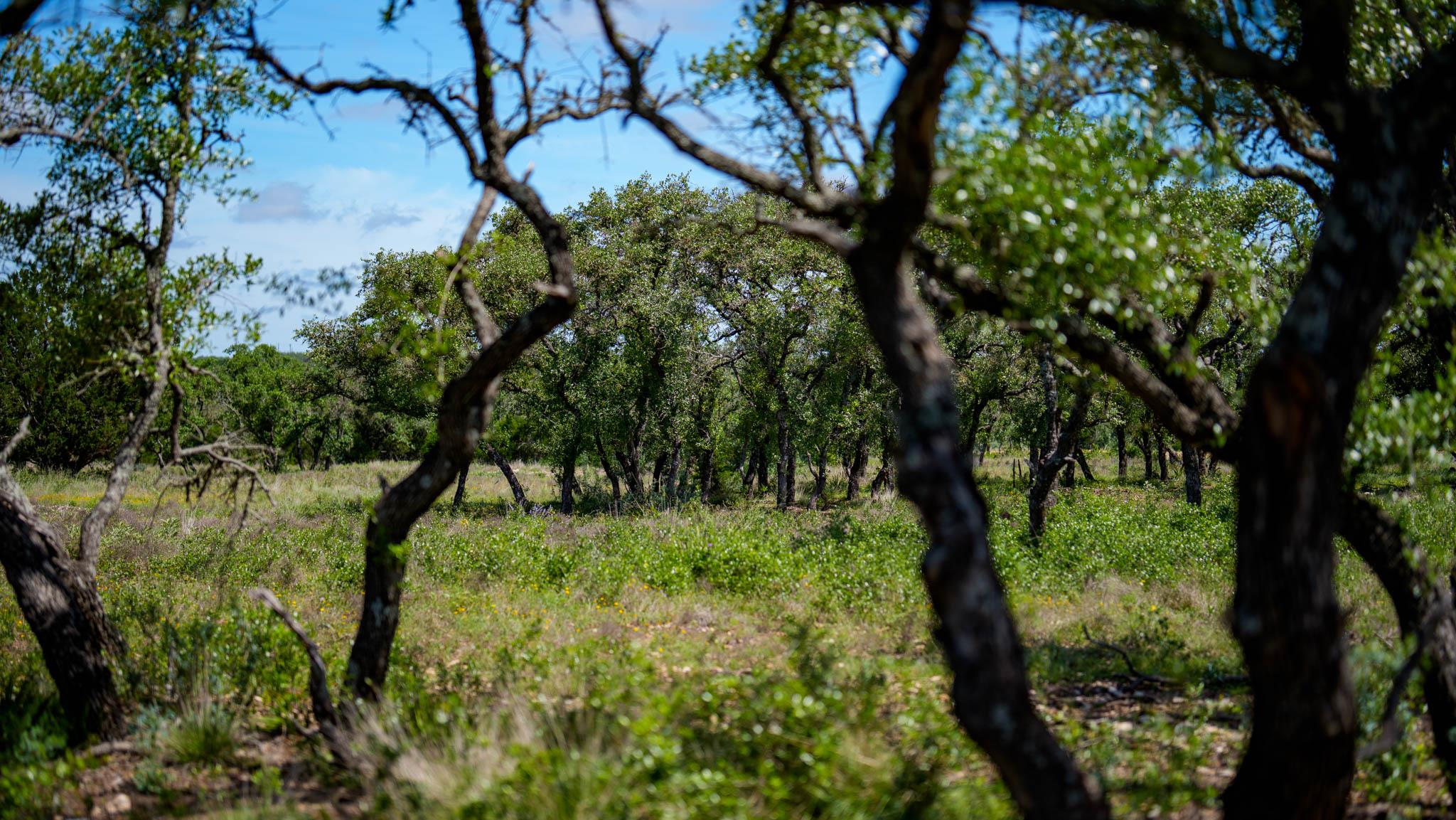 Tbd El Rincon Rd Property Photo 20
