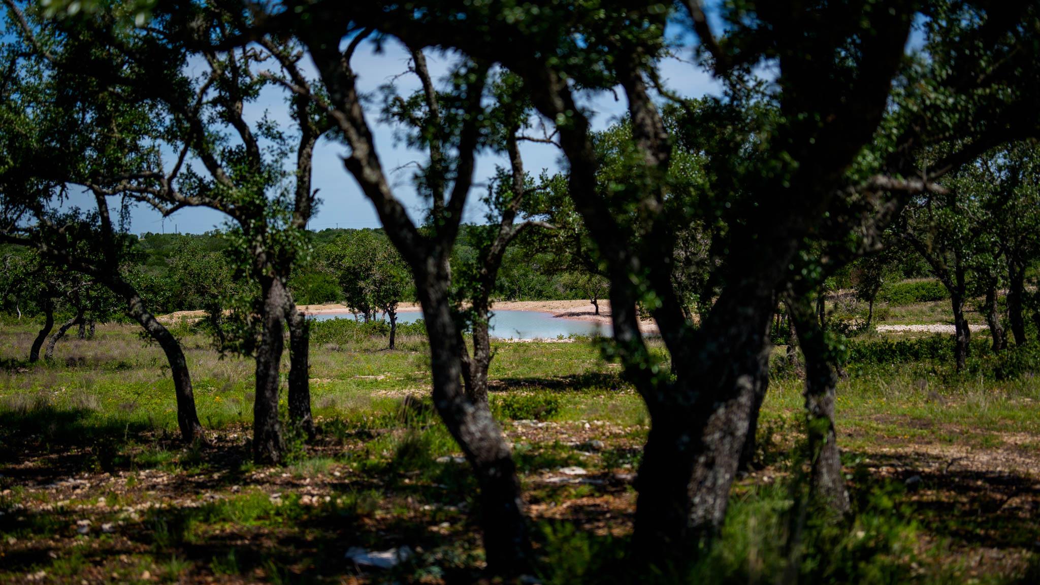 Tbd El Rincon Rd Property Photo 23