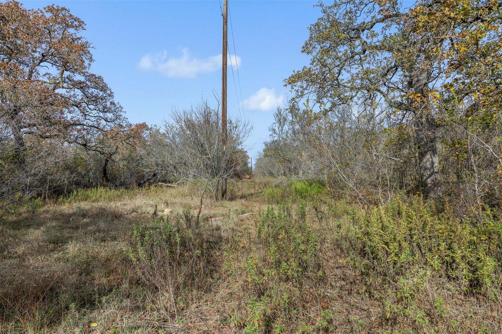 970 Bugtussle Ln Property Photo 4