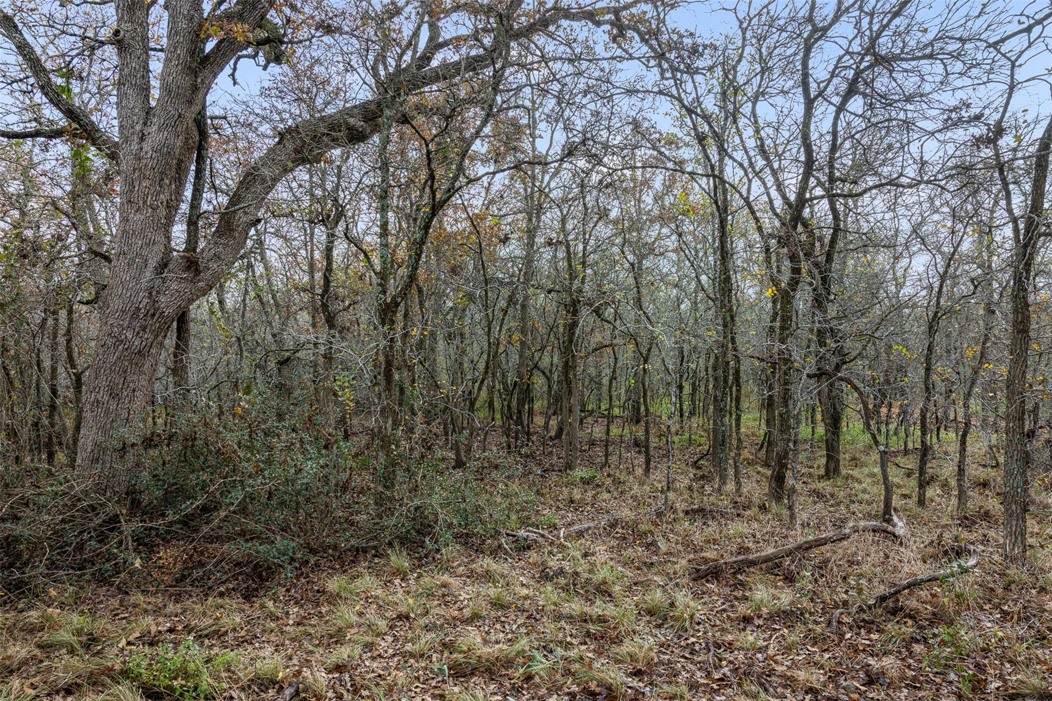 970 Bugtussle Ln Property Photo 7
