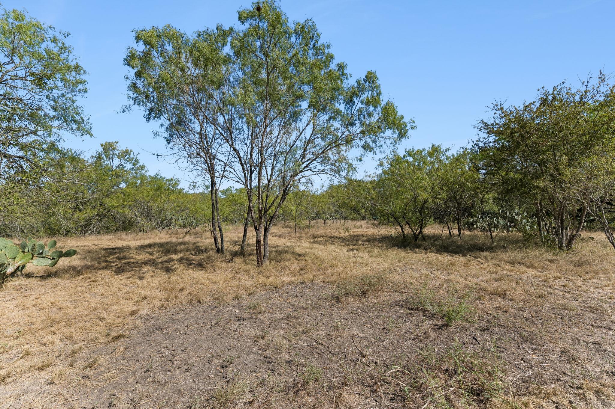 200 Armstrong Rd Property Photo 10