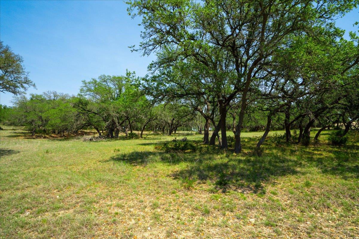 7890 Us 290 Hwy Property Photo 15